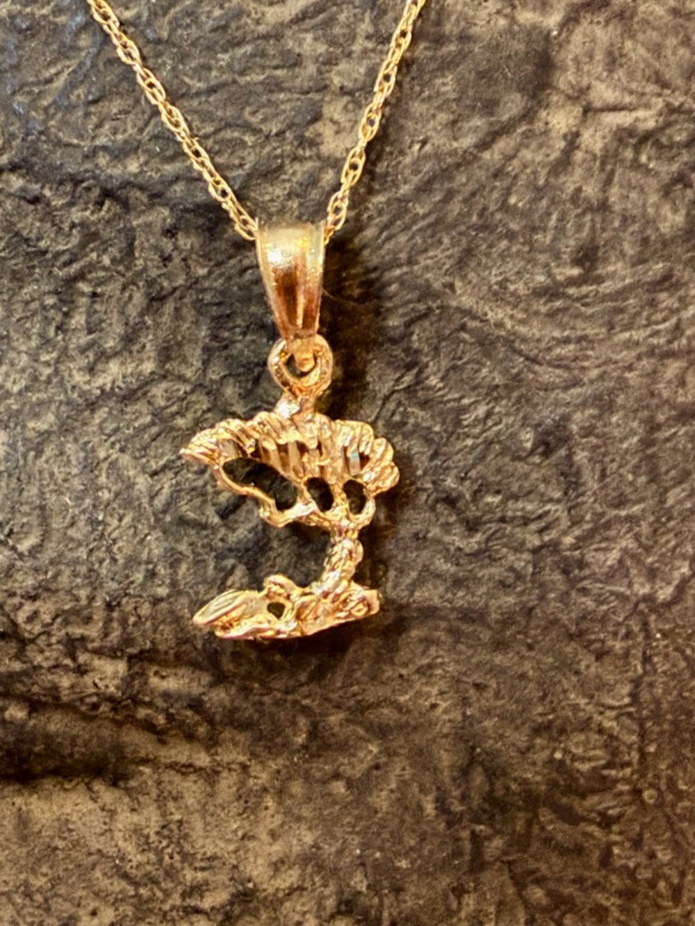 Solid 14k Gold Bonsai Pendant Charm & 14k Yellow Gold Rope Chain - 18.5 inches